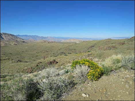 Gold Butte Peak