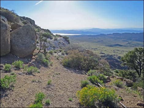 Gold Butte Peak