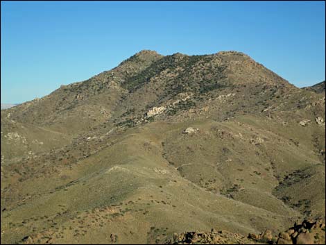 Gold Butte Peak