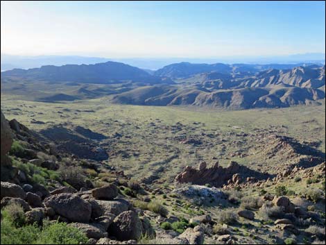 Gold Butte Peak