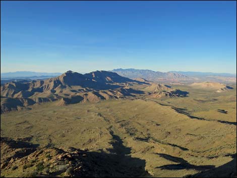 Gold Butte Peak