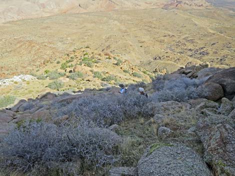 Gold Butte Peak