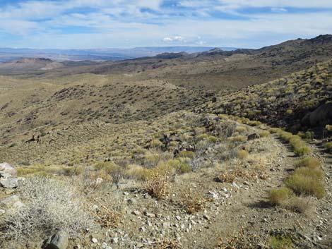 Gold Butte Peak