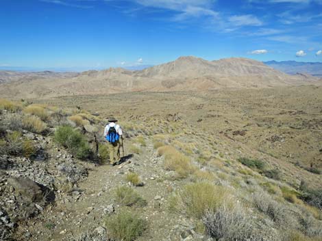 Gold Butte Peak