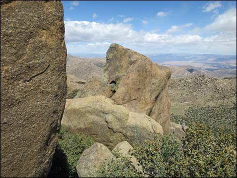 jumbo peak