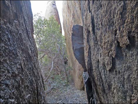 jumbo peak