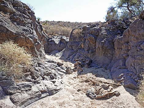 Lava Falls