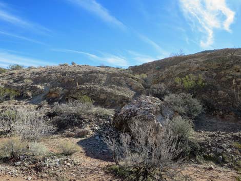 Two Forks Loop