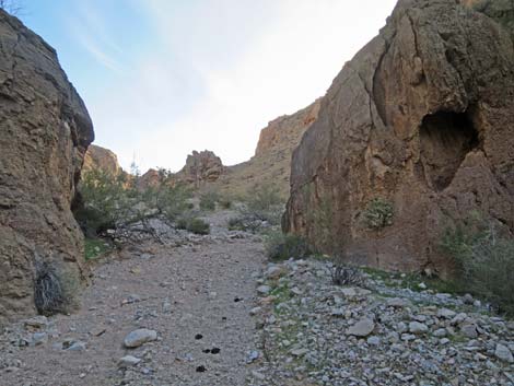 Two Forks Loop