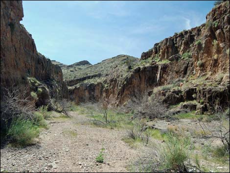 Lime Canyon