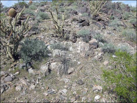 Little Virgin Peak