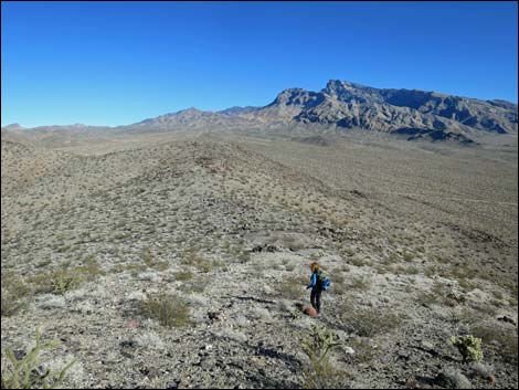 Little Virgin Peak