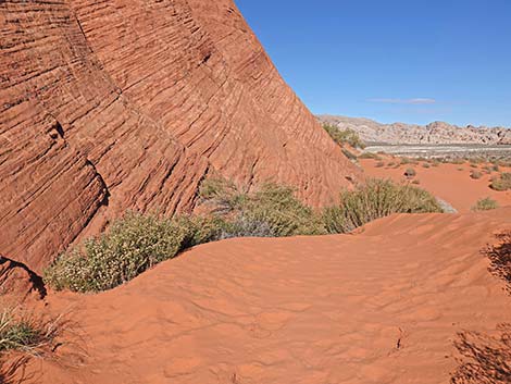 Mud Wash Dunes