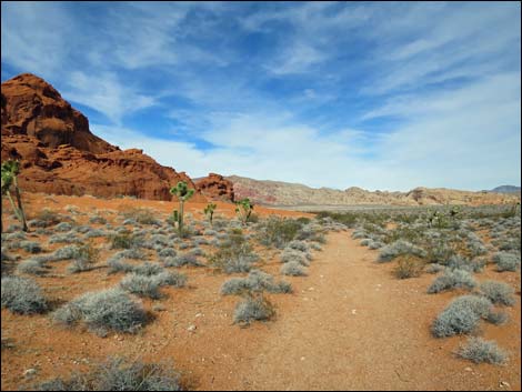 Mud Wash Dunes