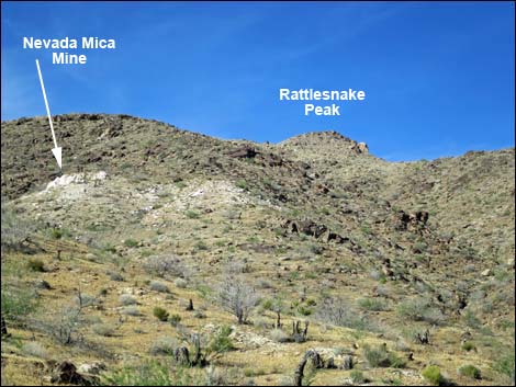 Mud Wash North Road  Nevada Mica Mine Road