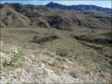 Nevada Mica Mine