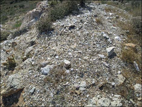 Nevada Mica Mine