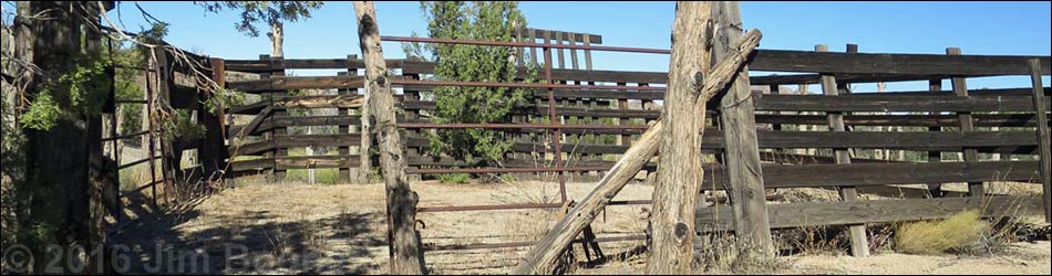 Grapevine Spring Corral