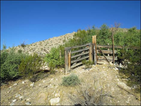 Garden Spring Corral