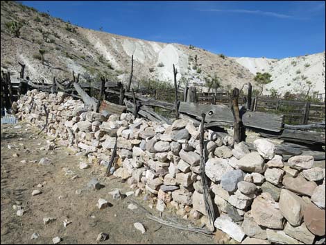 Horse Spring Corral