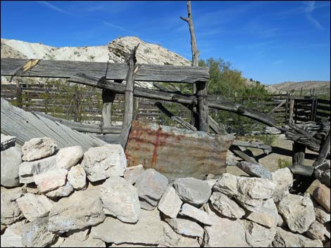 Horse Spring Corral