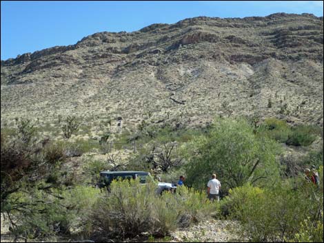 Horse Spring Corral