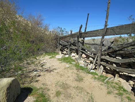 Horse Spring Corral