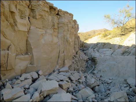 Lakeshore Mine