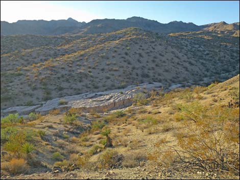 Lakeshore Mine