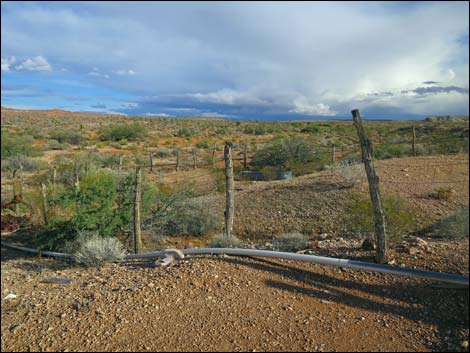 Mud Hills Corral