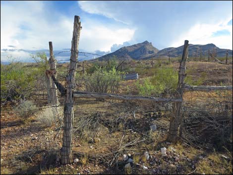 Mud Hills Corral