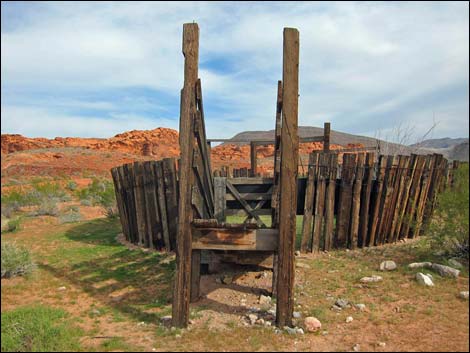 Mud Wash Corral