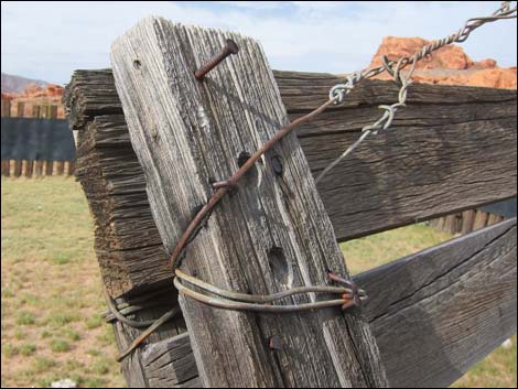 Mud Wash Corral