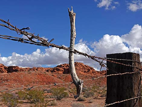 Mud Wash Corral