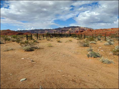 Mud Wash Corral