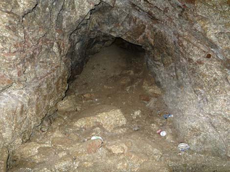 Gold Butte Townsite Upper Mine