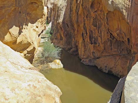 Whitney Pocket CCC Dam