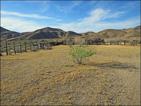 Willow Wash Corral