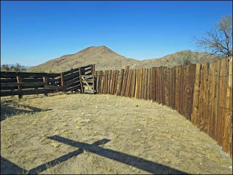 Willow Wash Corral