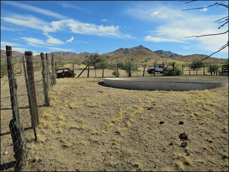 Willow Wash Corral