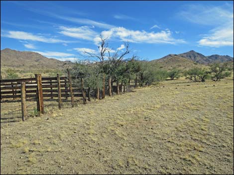 Willow Wash Corral