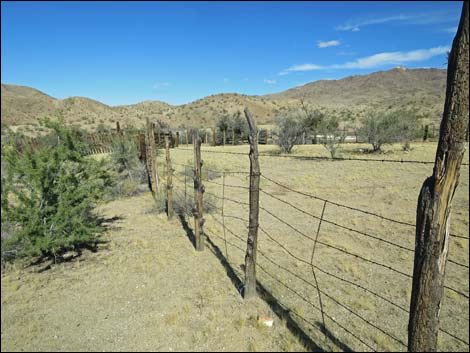 Willow Wash Corral