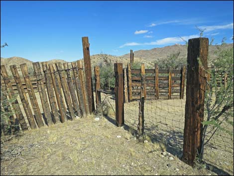 Willow Wash Corral