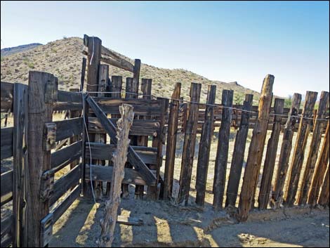 Willow Wash Corral