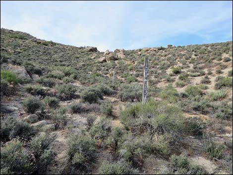 Windmill Mine