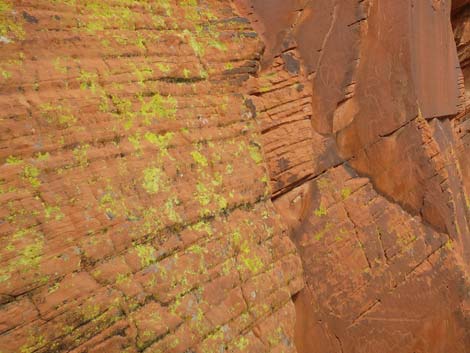 Petroglyphs