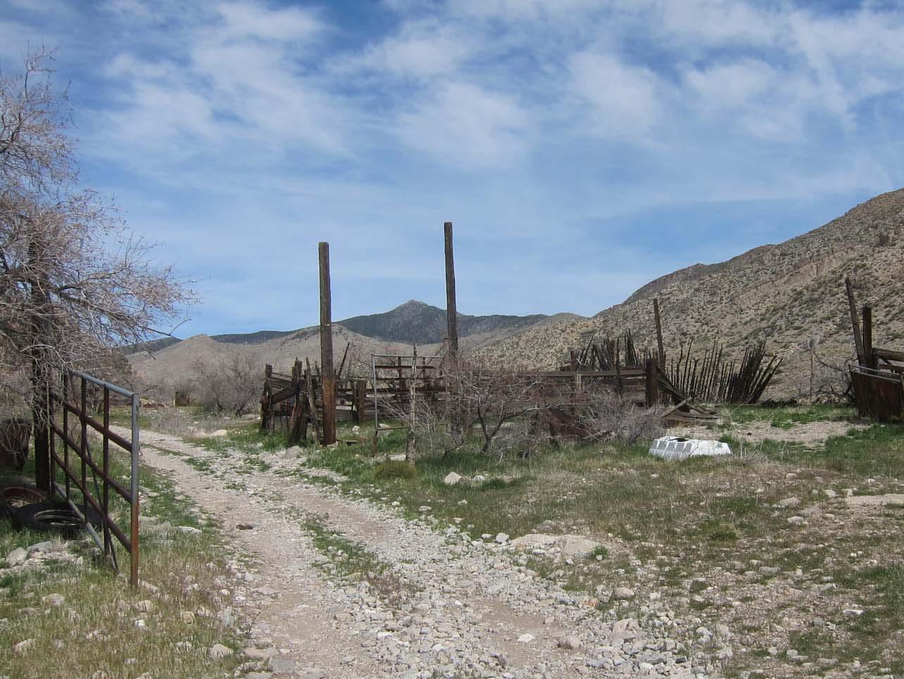 Whitney Wash Loop