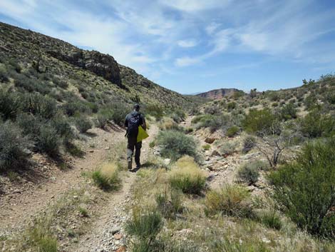 Whitney Wash Loop