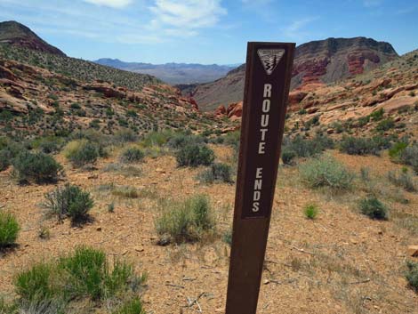 Whitney Wash Loop