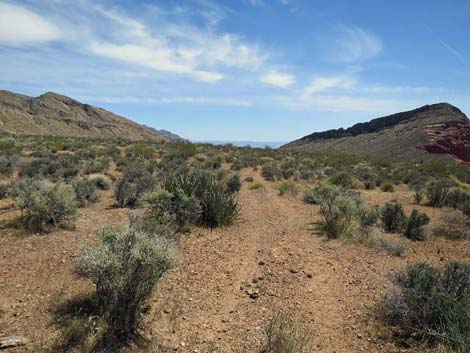 Whitney Wash Loop